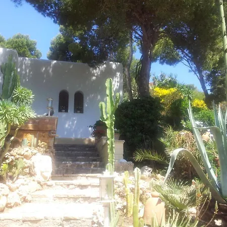 Finca Cactus Mhm 펜션