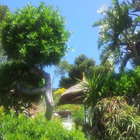 펜션 Finca Cactus Mhm